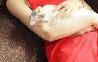 推女神 – 旗袍写真分享，张美荧为什么总是那么优雅？